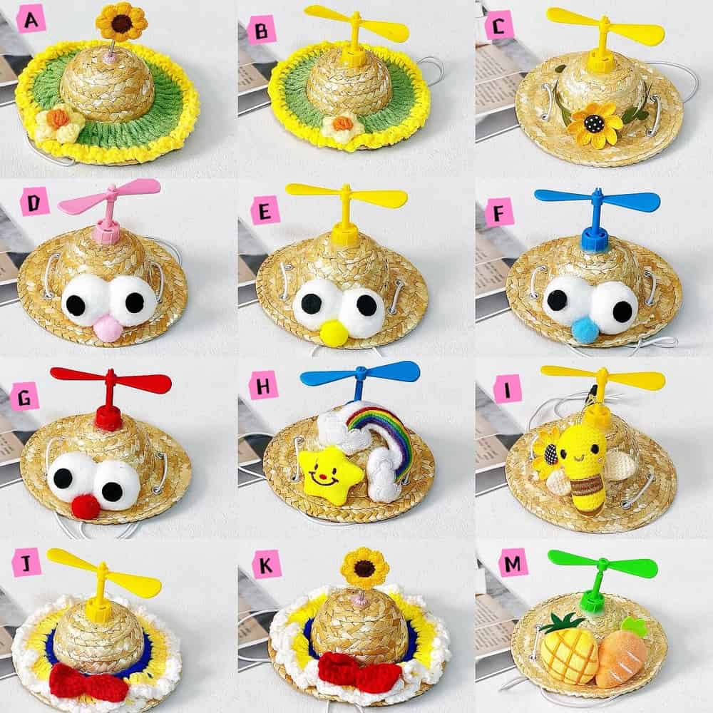 Puppy Gift Box with Hat, Squeaky Toy & Balls Set