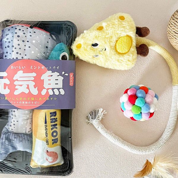 Interactive Cat Toy Gift Box – Mint Toys & Sunflower Hat