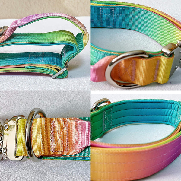 Gradient Anti-Pull Dog Leash & Collar Set – Durable
