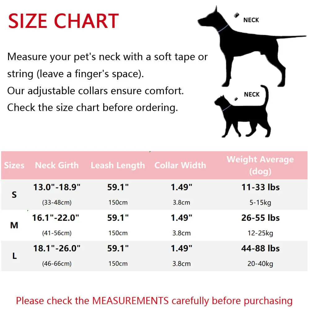 Gradient Anti-Pull Dog Leash & Collar Set – Durable