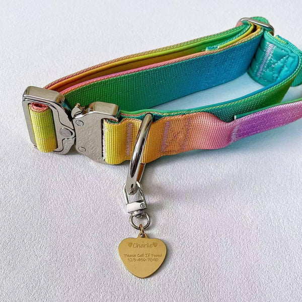 Gradient Anti-Pull Dog Leash & Collar Set – Durable