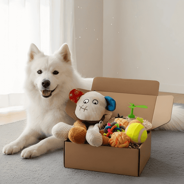 Puppy Gift Box with Hat, Squeaky Toy & Balls Set
