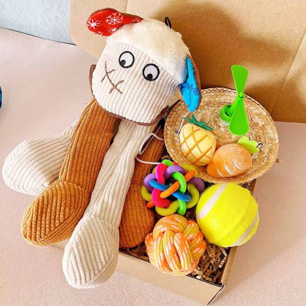 Puppy Gift Box with Hat, Squeaky Toy & Balls Set