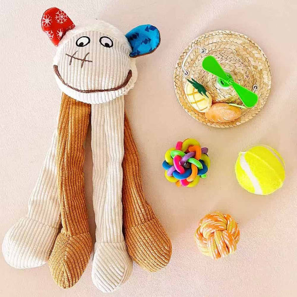 Puppy Gift Box with Hat, Squeaky Toy & Balls Set