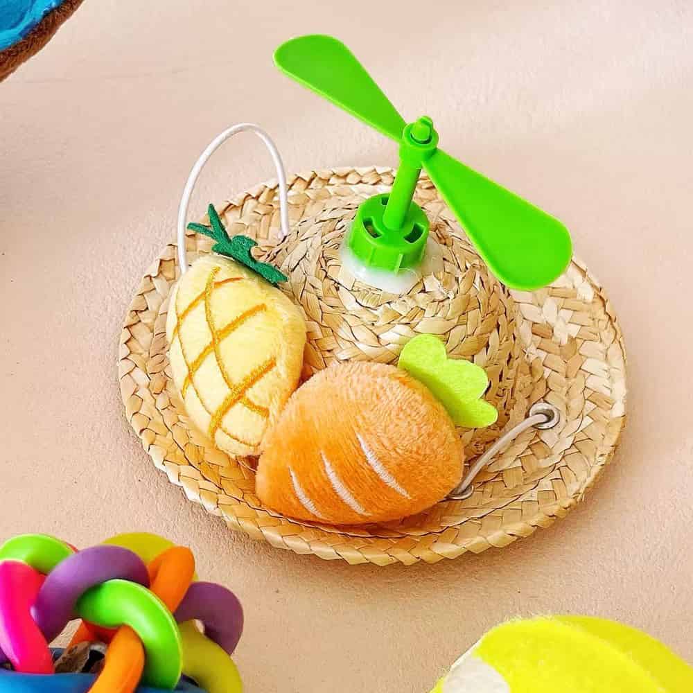 Puppy Gift Box with Hat, Squeaky Toy & Balls Set