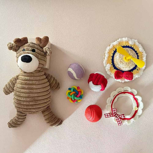Puppy Gift Box, Dog Toys, Handmade Collar & Propeller Hat