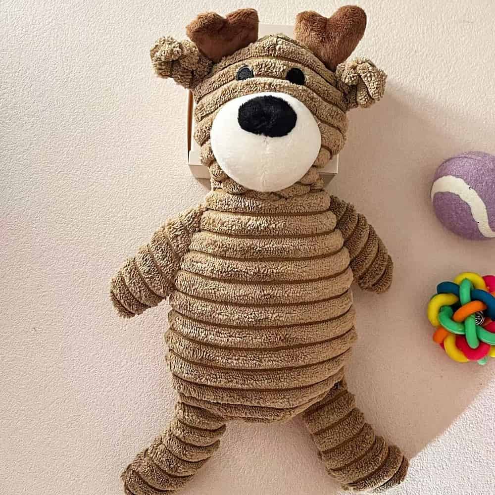 Puppy Gift Box, Dog Toys, Handmade Collar & Propeller Hat