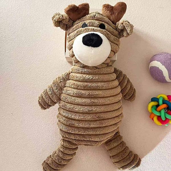 Puppy Gift Box, Dog Toys, Handmade Collar & Propeller Hat