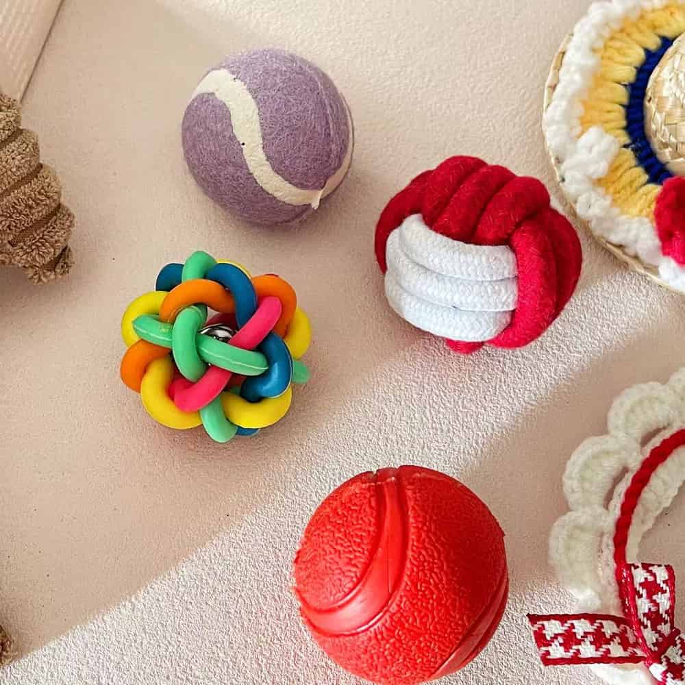 Puppy Gift Box, Dog Toys, Handmade Collar & Propeller Hat