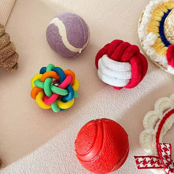 Puppy Gift Box, Dog Toys, Handmade Collar & Propeller Hat