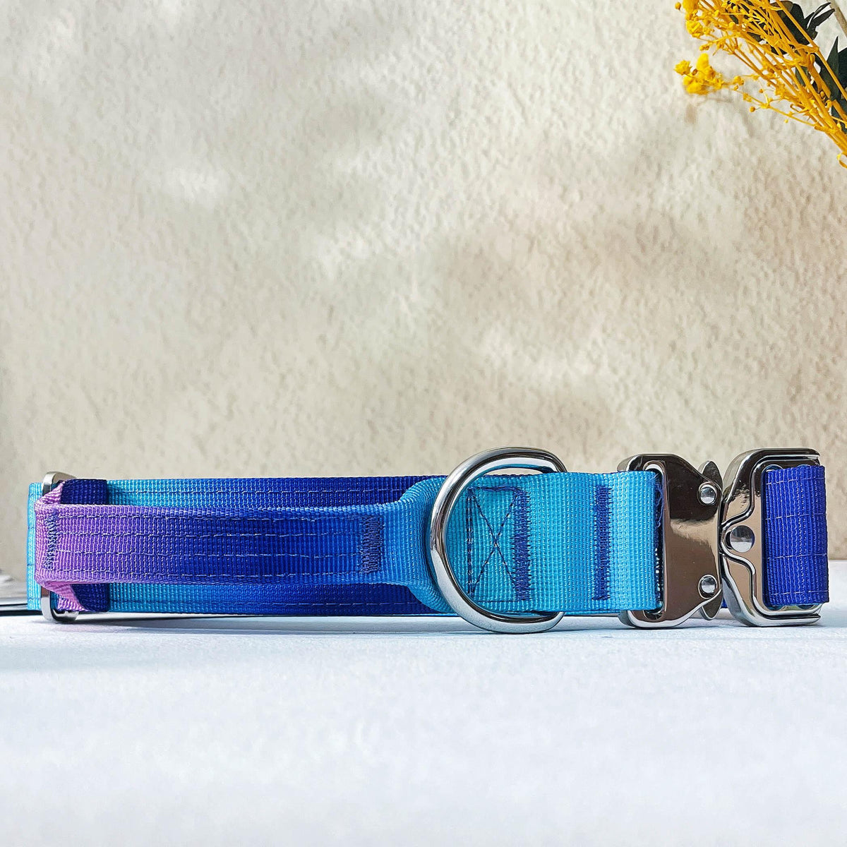 Gradient Anti-Pull Dog Leash & Collar Set – Durable