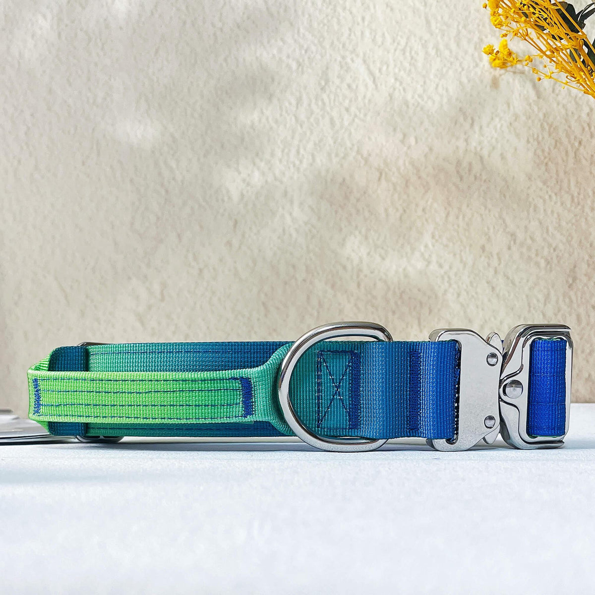 Gradient Anti-Pull Dog Leash & Collar Set – Durable