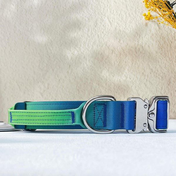 Gradient Anti-Pull Dog Leash & Collar Set – Durable