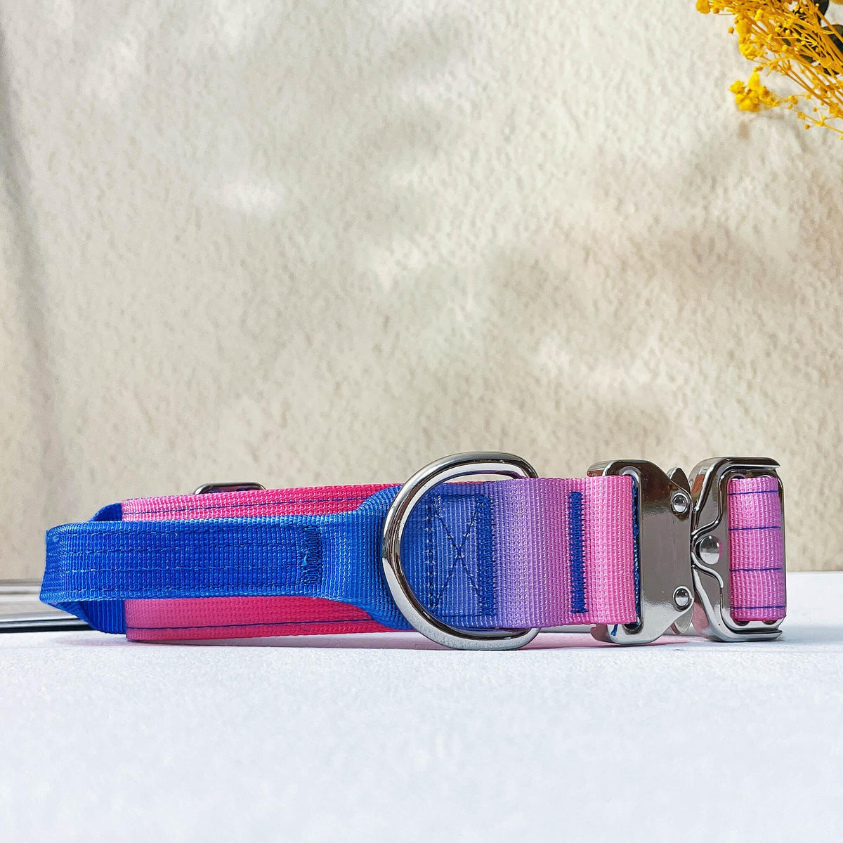 Gradient Anti-Pull Dog Leash & Collar Set – Durable