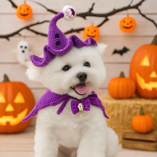Crochet Halloween Pet Hat – Pumpkin, Witch, or Bat Costume for Cats