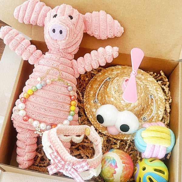 Dog Gift Box – Plush Toy, Hat, Balls & Knitted Collar Set