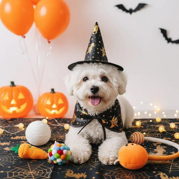 Halloween Pet Costume Set – Witch Hat, Cape & Toys for Dogs or Cats
