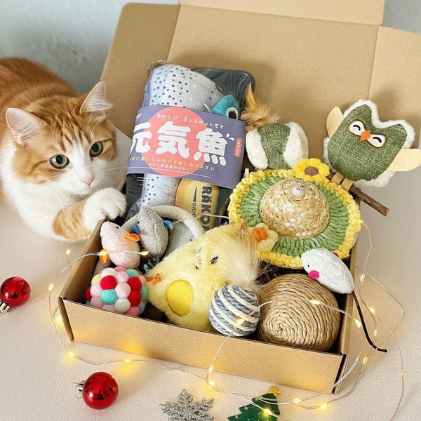 Interactive Cat Toy Gift Box – Mint Toys & Sunflower Hat