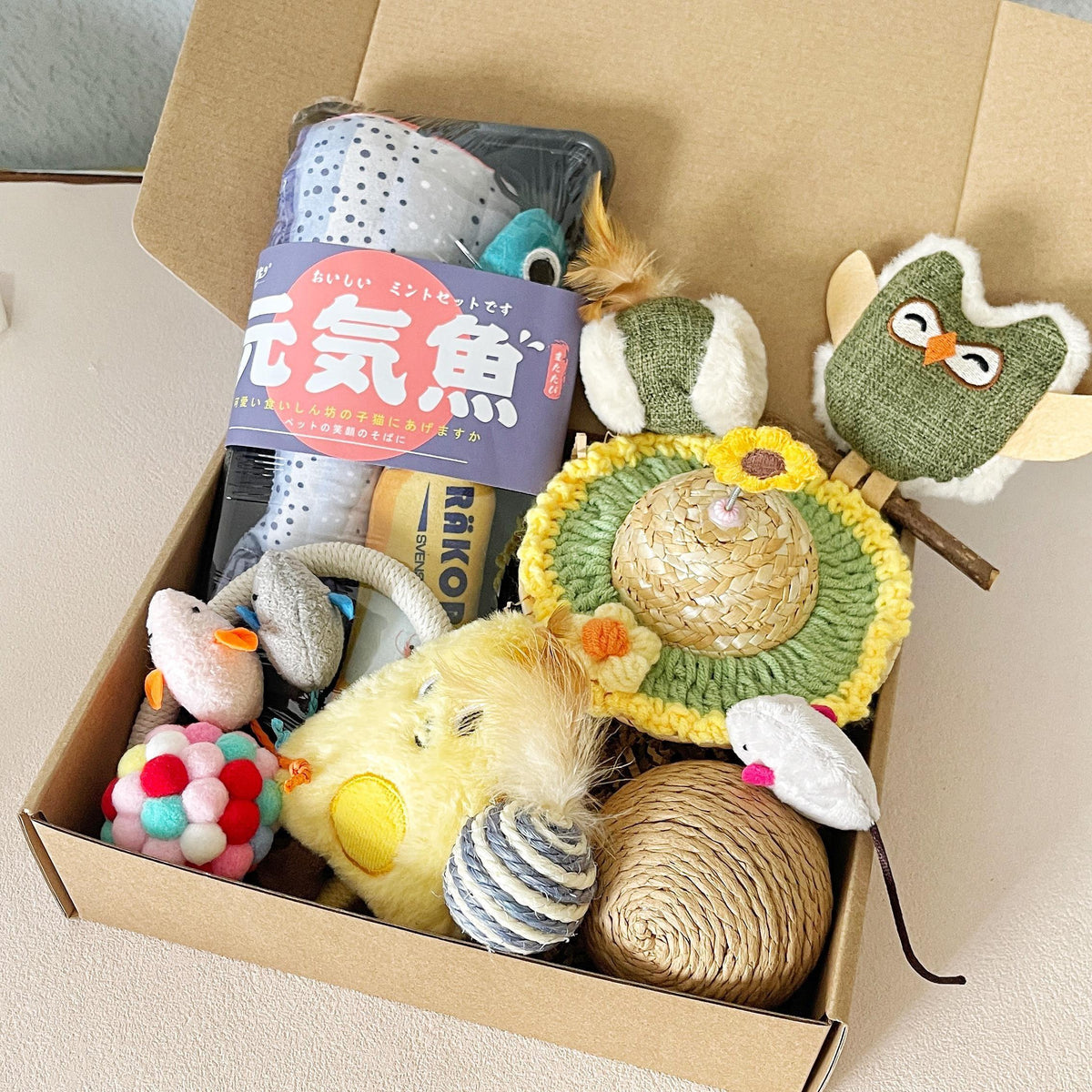 Interactive Cat Toy Gift Box – Mint Toys & Sunflower Hat