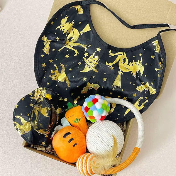 Halloween Pet Costume Set – Witch Hat, Cape & Toys for Dogs or Cats