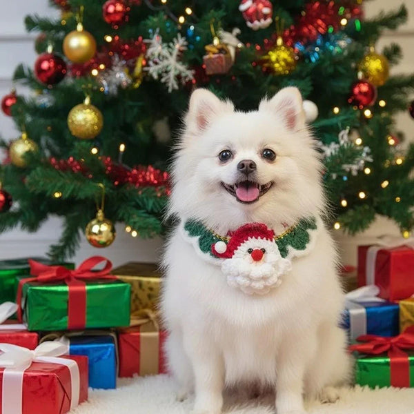 Christmas Pet Neckwear – Festive Knit Collar for Cats & Dogs